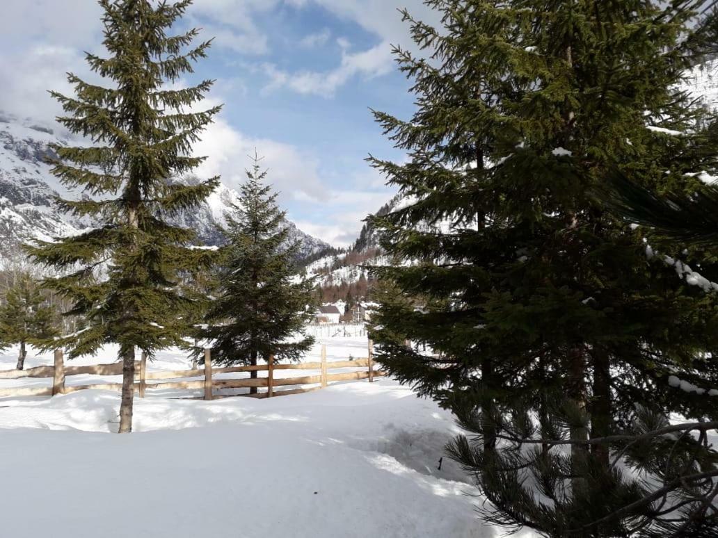 Valbona Eco Camping Hotel Luaran gambar